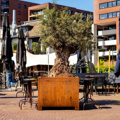 Vierkante plantenbak met voet van 9 cm - 140 x 140 x 80 cm