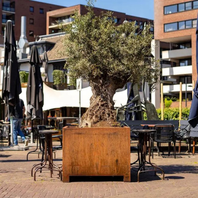Rechthoekige plantenbak met voet van 9 cm -120 x 50 x 60 cm